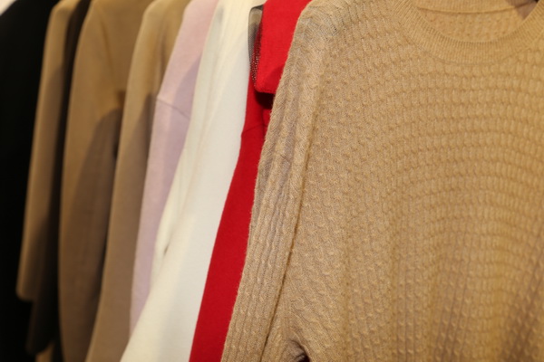 “絲駝”又一鐘情于駝絨產(chǎn)業(yè)的企業(yè)，綻放2023intertextile